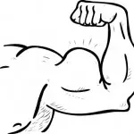 muscle-arm-jpg