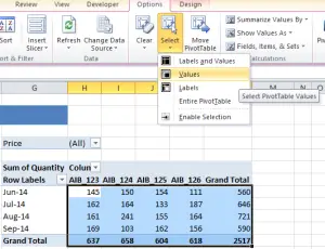 Select All Or Part Of A Pivot Table